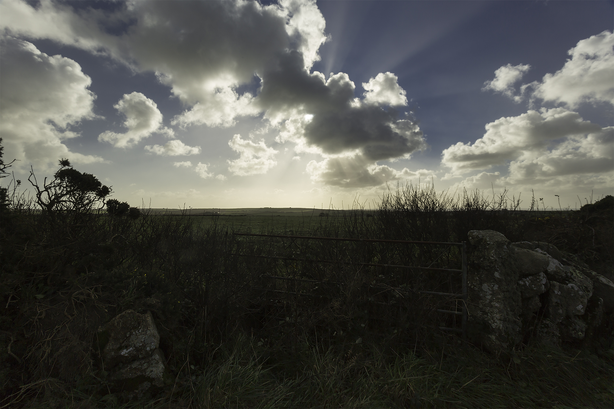 sennen light2